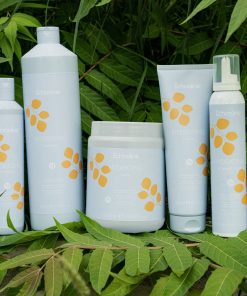 Echosline Vegan Hydrating Shampoo 300 Ml 5 Leta Kozmetik