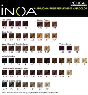 loreal inoa-sac-boyasi-katalog