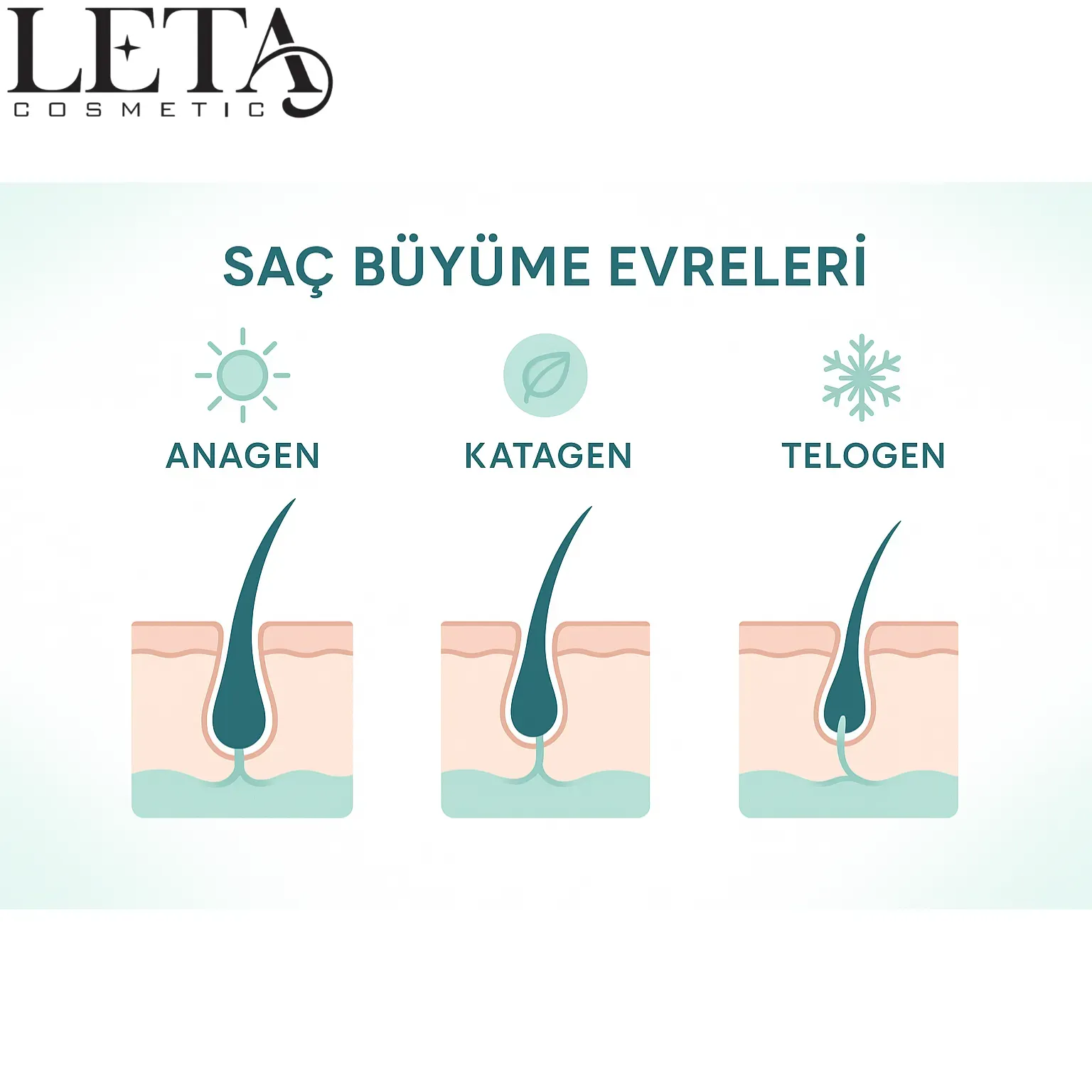 Mevsimsel Dökülmeyi Destekleyen Bitkisel Bakım Çözümleri