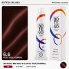 Botego Milano 6.6 Koyu Kızıl Kumral Saç Boyası 100 Ml 1 Leta Kozmetik